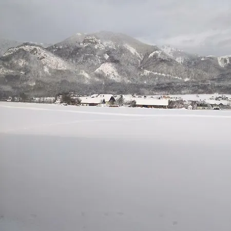 Haus Heimatblick アパート *