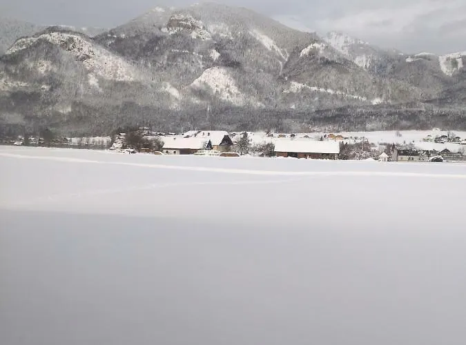 Haus Heimatblick شقة *